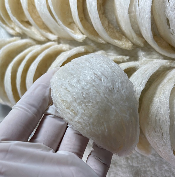 Tháng 8 tháng của yến định hình A5