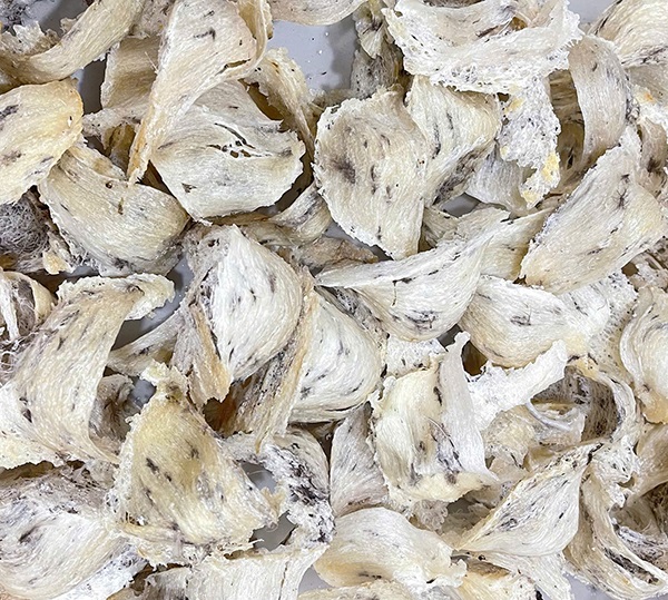 Yến mới thu hoạch xong sau cơn mưa tháng 10 nè anh em